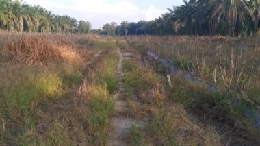Güzel sabah gökyüzüne karşı nadasa düşmüş toprağın görüntüleri.