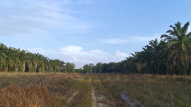 Güzel sabah gökyüzüne karşı nadasa düşmüş toprağın görüntüleri.