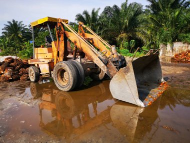 Palm Petrol Çiftliği 'nin açık hava manzarası