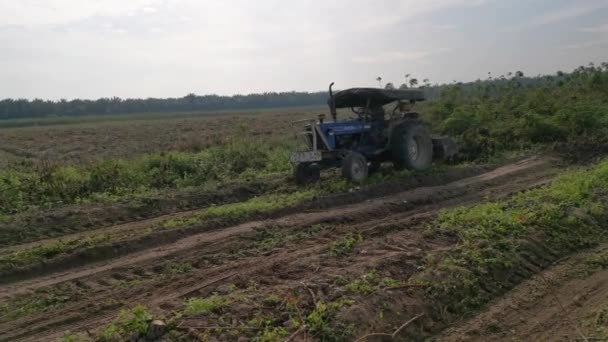 Perak Malásia Outubro 2020 Cena Filmagem Colheita Transporte Tapioca Fazenda — Vídeo de Stock