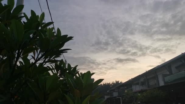 Imagens Olhar Para Cena Colorida Céu Amanhecer Zero — Vídeo de Stock