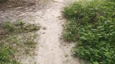 Kırsal çakıl yolundaki ileri hareket hareketinin görüntüleri