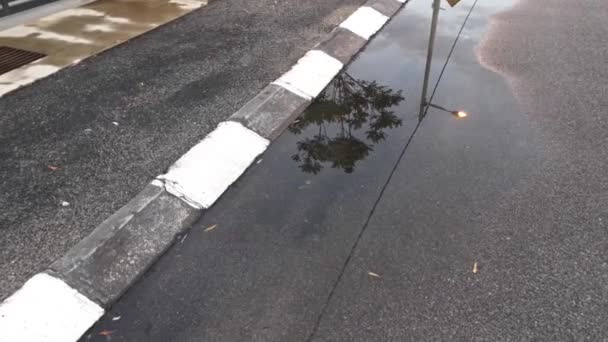 Des Images Piscine Eau Claire Avec Reflet Ciel — Video