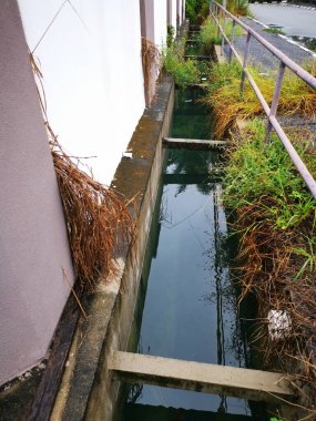 Aşırı büyüyen bitki ve otların drenajı durgun..