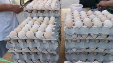 Yumurtaların sergilendiği kutunun görüntüleri..