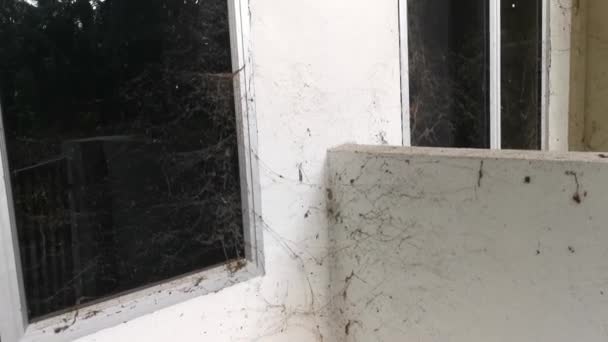壁中に蜘蛛の巣がぶら下がっている無人の家の映像です — ストック動画