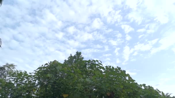 Кадры Ясного Голубого Неба Утренней Сцены — стоковое видео