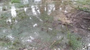 Şiddetli yağmur yağdıktan sonra kırsalda toplanan su havuzunun görüntüleri.