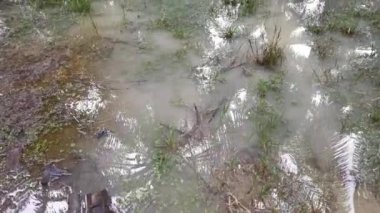Şiddetli yağmur yağdıktan sonra kırsalda toplanan su havuzunun görüntüleri.