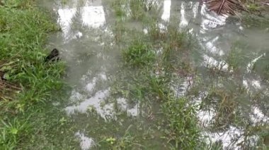 Şiddetli yağmur yağdıktan sonra kırsalda toplanan su havuzunun görüntüleri.