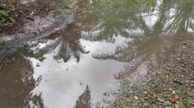 Şiddetli yağmur yağdıktan sonra kırsalda toplanan su havuzunun görüntüleri.