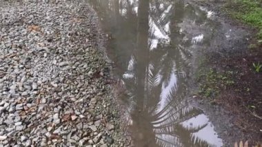 Şiddetli yağmur yağdıktan sonra kırsalda toplanan su havuzunun görüntüleri.