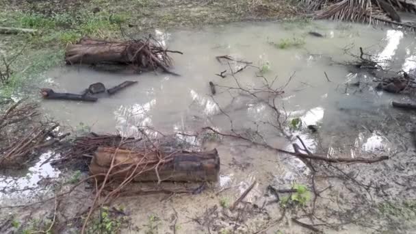 Imagens Piscina Água Campo Recolhidas Após Forte Banho Chuva — Vídeo de Stock