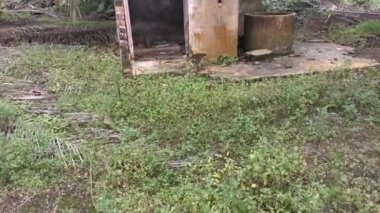 Terk edilmiş beton bölümün kırsal tuvalet görüntüsü.