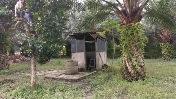 Film Scen Den Nostalgiska Utomhus Asiatiska Landsbygden Utomhus Badrum — Stockvideo