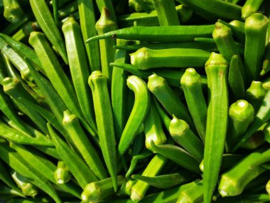 Bir yığın abelmoschus esculentus sebze 