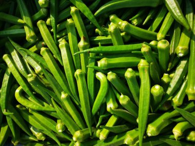 Bir yığın abelmoschus esculentus sebze 