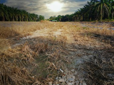Nadasa dönmüş manzarada hava durumu.