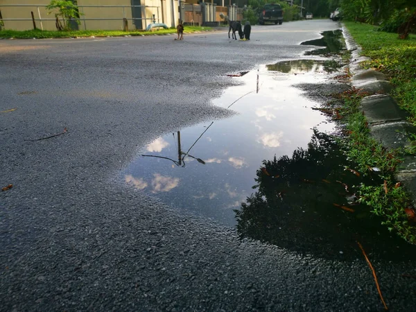 Street Scene Puddle Water — Stock Photo, Image