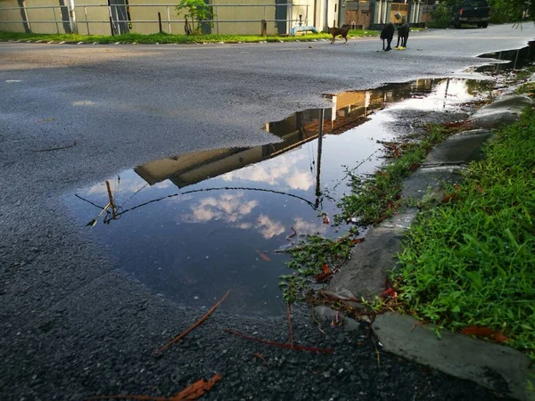 Straatbeeld Rond Plas Water — Stockfoto