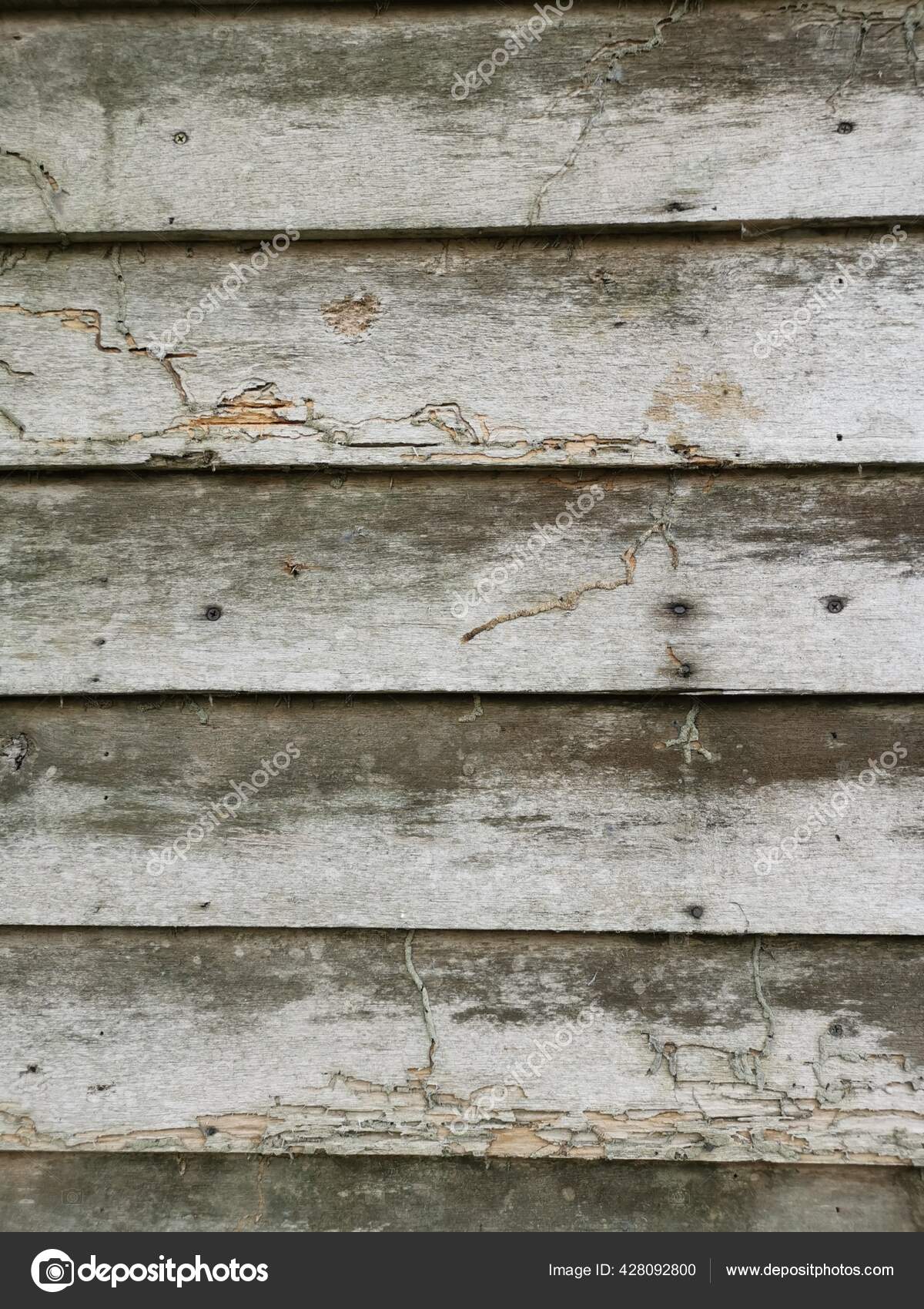 Tablones Podridos Textura Pared Madera Una Casa Abandonada — Foto de stock  #428092800 © sweemingyoung, image size:1200x1700