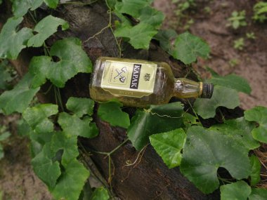 Perak, Malezya. 17 Kasım 2020: Kg Koh Palm Çiftliği bölgesinde boş bir KAPAK bira şişesi bulundu veya çalılara atıldı.