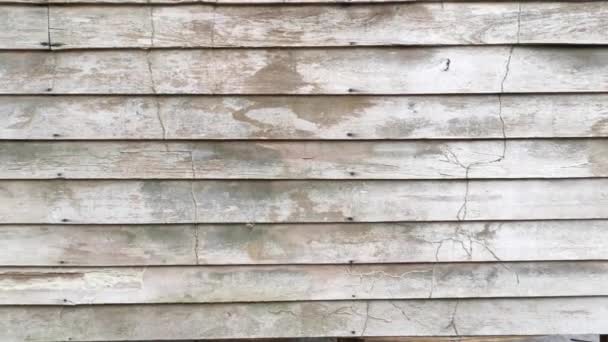 Rotting planks texture wood wall of an abandoned house. — Stock Footage Rotting Planks Texture Wood Wall Abandoned House Video Clip
