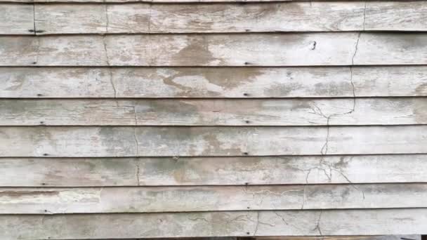 Tablones Podridos Textura Pared Madera Una Casa Abandonada — Vídeo de stock