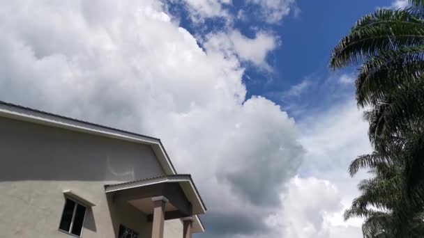 Mirando Hacia Arriba Hermoso Cielo Azul Nublado Durante Día — Vídeos de Stock