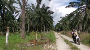 Perak, Malezya. 18 Kasım 2020: Kg Koh Oil Palm Çiftliği kırsal yolunda taşıma ve gezinme araçları sahnesi.