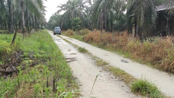 马来西亚 波拉克 2020年11月18日 在Kg Koh油棕榈种植园的农业农村公路上运输和来往车辆的场景 — 图库视频影像