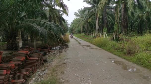 Perak Malaysia November 2020 Szene Von Fahrzeugen Die Der Landwirtschaftlichen — Stockvideo