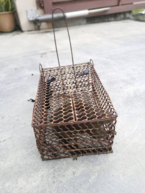 Sincap metal kafes kapanına yakalandı..