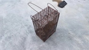 Sincap metal kafes kapanına yakalandı..