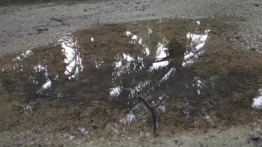 Su birikintisine adım atarken suyun yavaş yavaş sıçraması.. 