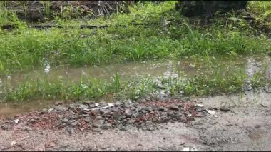 Su birikintisine adım atarken suyun yavaş yavaş sıçraması.. 