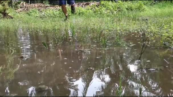 Slow Motion Van Water Spatten Bij Het Stappen Plas — Stockvideo