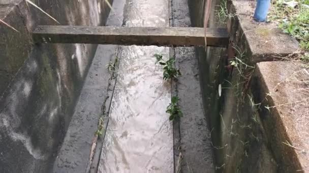 市区路边的排水系统 — 图库视频影像