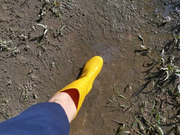 Невідома Людина Жовтому Чоботі Йде Затоплену Ферму — стокове фото