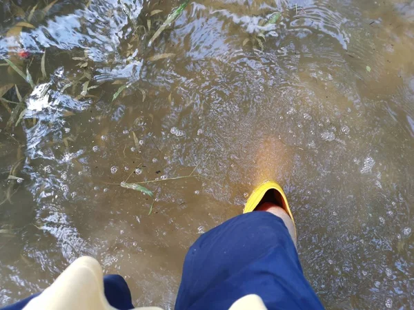 Unknown Person Wearing Yellow Boot Walking Flooded Farm — Stock Photo, Image