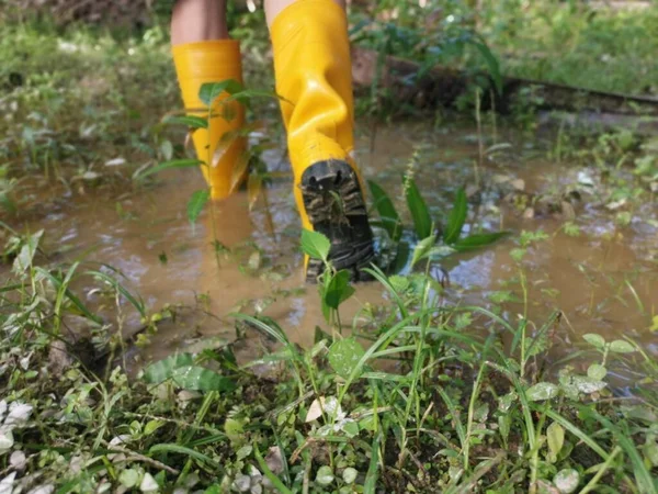 穿着黄色靴子走进被水淹没的农场的身份不明的人 — 图库照片