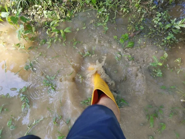 Неизвестный Человек Жёлтом Ботинке Заходит Затопленную Ферму — стоковое фото