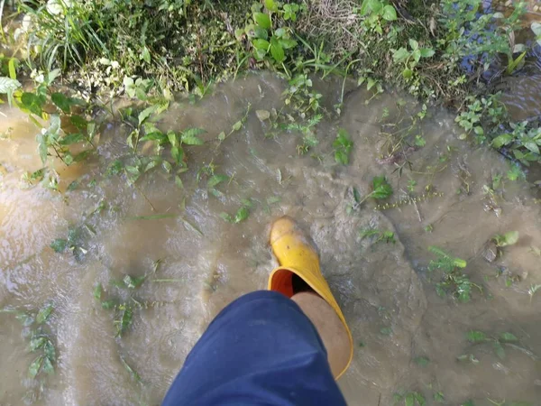 浸水した農場に黄色いブーツを着た無名の人が — ストック写真