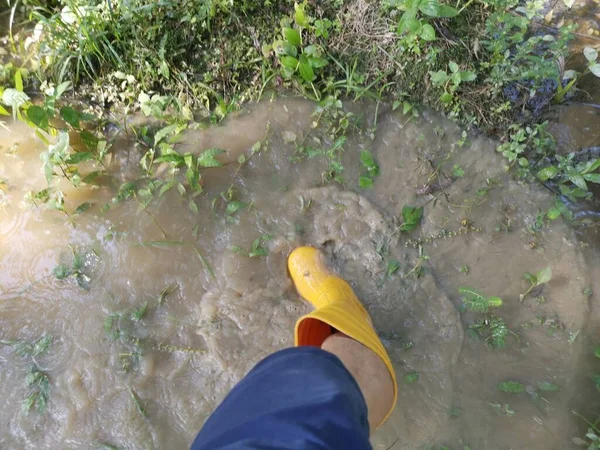 Persona Sconosciuta Che Indossa Stivali Gialli Camminando Nella Fattoria Allagata — Foto Stock