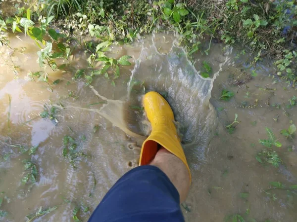 浸水した農場に黄色いブーツを着た無名の人が — ストック写真