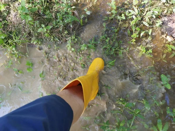 unknown person wearing yellow boot walking into the flooded farm.