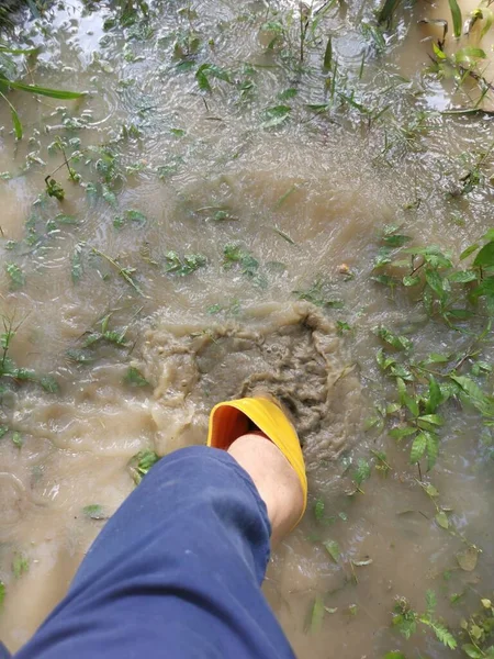 Unknown Person Wearing Yellow Boot Walking Flooded Farm — Stock Photo, Image