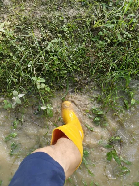 Unknown Person Wearing Yellow Boot Walking Flooded Farm — Stock Photo, Image
