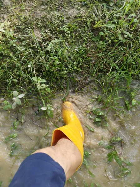 Pessoa Desconhecida Usando Bota Amarela Andando Fazenda Inundada — Fotografia de Stock