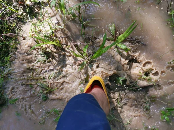 浸水した農場に黄色いブーツを着た無名の人が — ストック写真